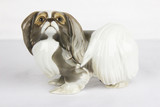 Арт-студия "Кентавр" - Фарфоровая статуэтка собаки породы Пекинес №012119