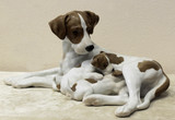Арт-студия "Кентавр" - Фарфоровая статуэтка "Собака со щенками" породы Английский пойнтер №012256