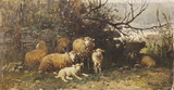 Арт-студия "Кентавр" - "Пейзаж с овцами" №013666