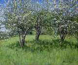 Арт-студия "Кентавр" - "Яблони в цвету" №015254