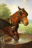 Арт-студия "Кентавр" - Фокс Роберт Аткинсон (1860-1935) - "Две лошади в упряжке на водопое" №004844