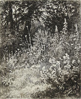 Арт-студия "Кентавр" - "Лесные цветы" (из альбома "25 гравюр на меди И.И.Шишкина") №015126