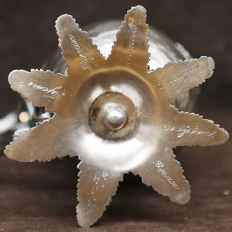 ���-������ "�������" - ��������� ������-�������� � ���� �������� ����� � ���������� ������  �016306