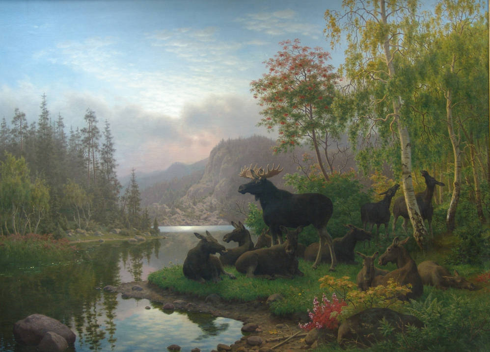 ���-������ "�������" - "���� �� ������ ����" �005265